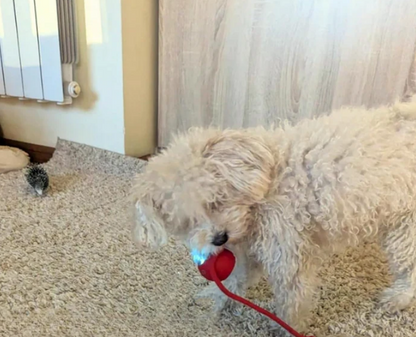 Speeltje - Juguete interactivo para el desarrollo y estimulacion para mascotas