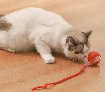 Speeltje - Juguete interactivo para el desarrollo y estimulacion para mascotas